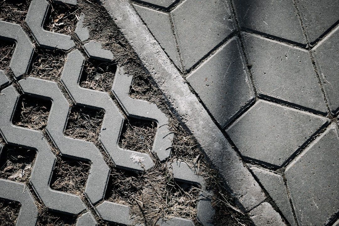 Interlocking concrete pavers with soil-filled openings beside solid paving